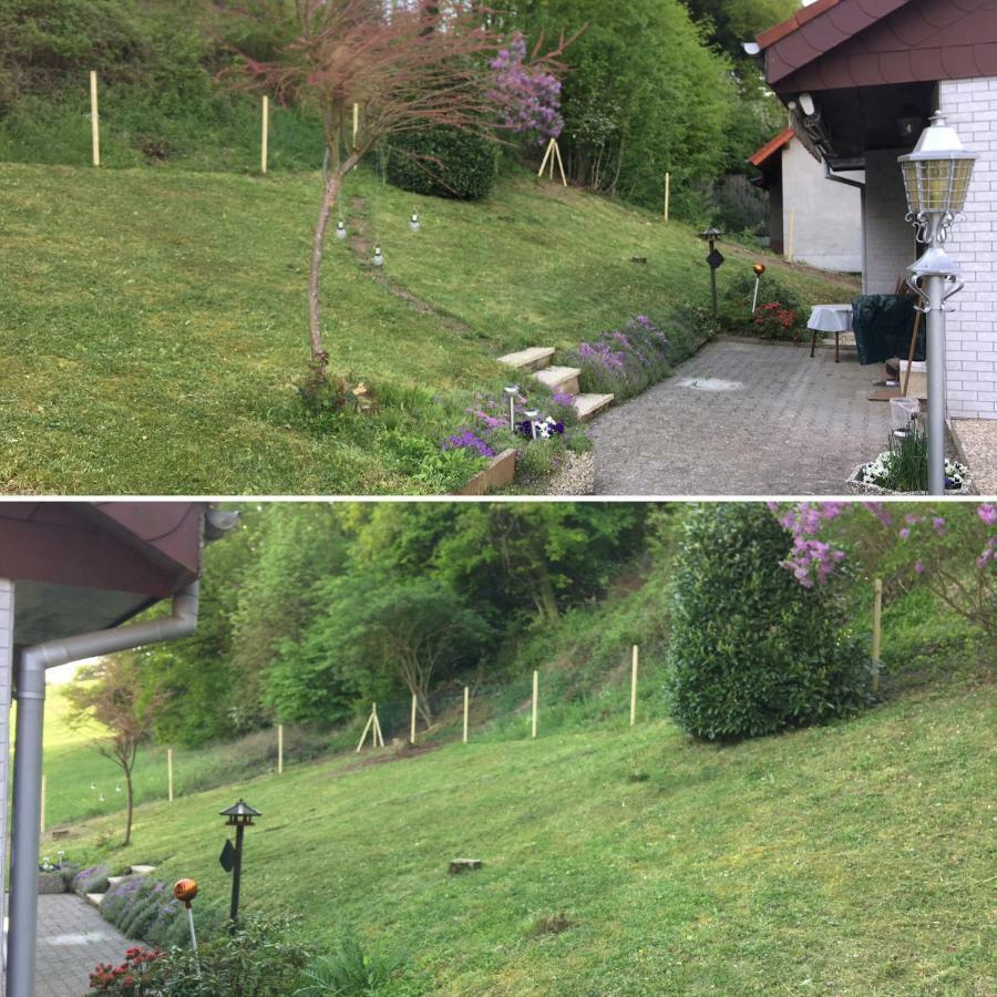 Ferienhaus Moscheltal Villa Waldgrehweiler Eksteriør billede